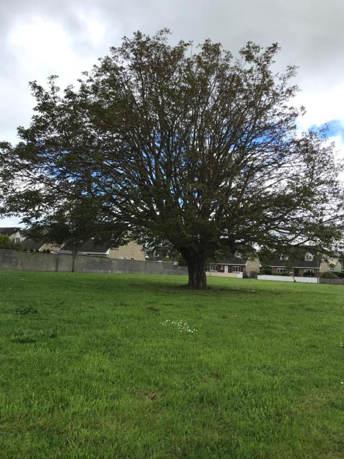Home From Home Tralee Bagian luar foto