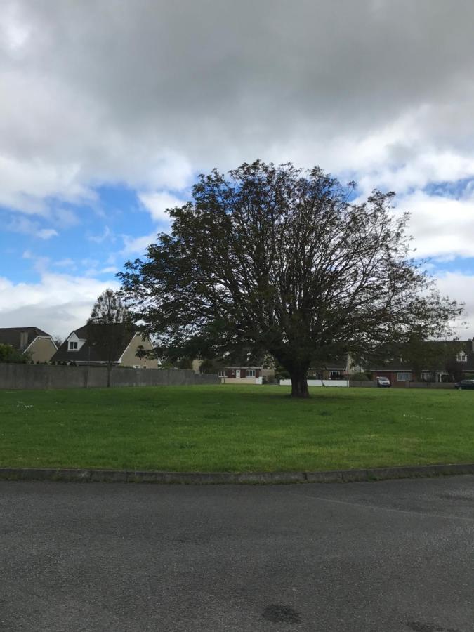 Home From Home Tralee Bagian luar foto